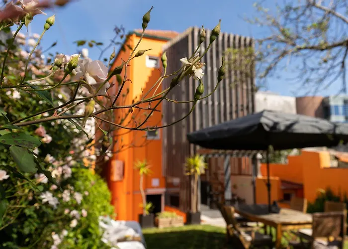 אכסניה Peach & *