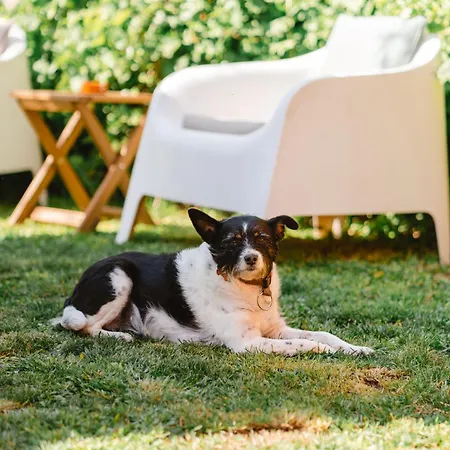 ホステル Peach & *